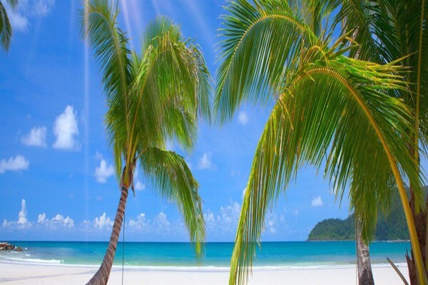 Astra Travel