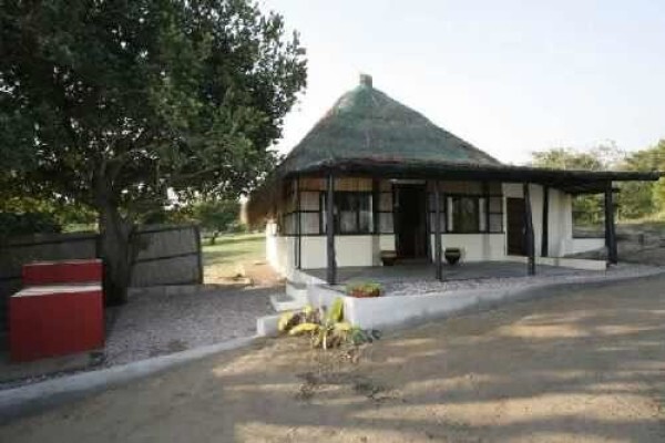 Mozambique Connection