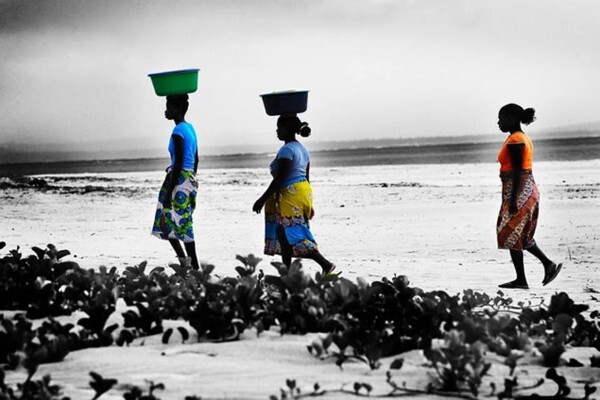 Mozambique Connection
