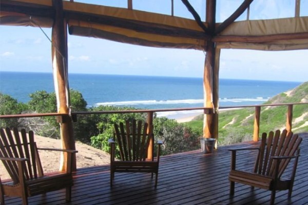 Mozambique Connection