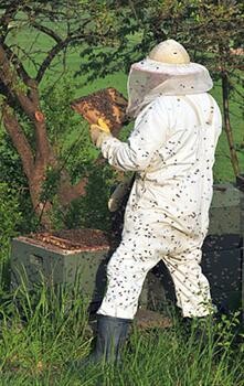 Overhex Honey Farms (Pty) Ltd.