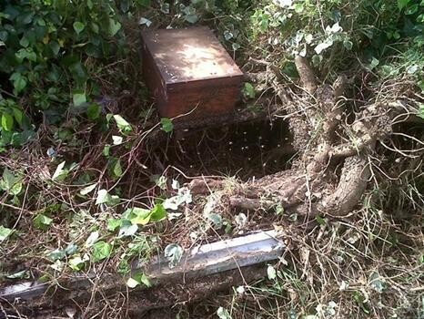 Overhex Honey Farms (Pty) Ltd.