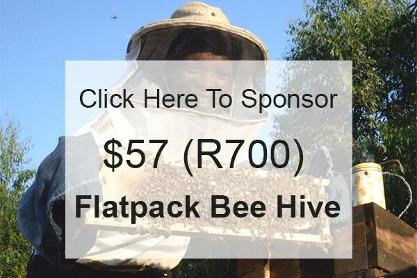 African Honey Bee