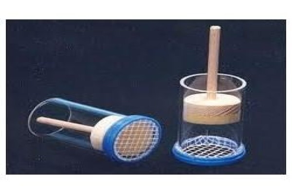 Beeware