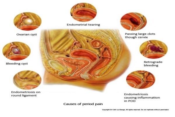 Dr Colin'S Reproductive Health