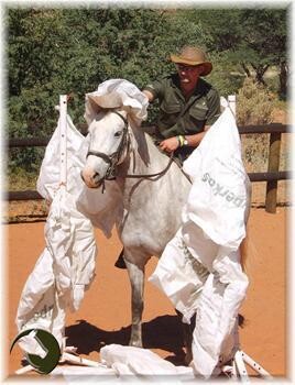 Equine Insight