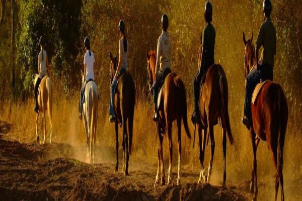 Horse Whispers