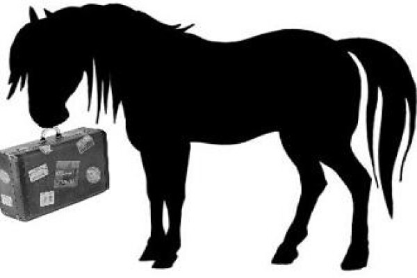 Horse Transport & Trucking