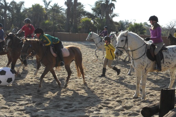 Byerley Park Stables