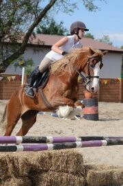 Byerley Park Stables