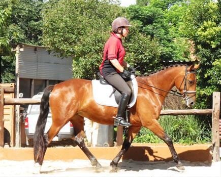 Byerley Park Stables