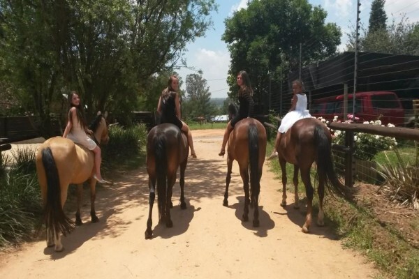 Byerley Park Stables