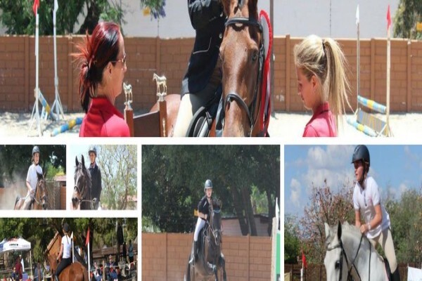 Byerley Park Stables