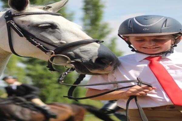 Byerley Park Stables