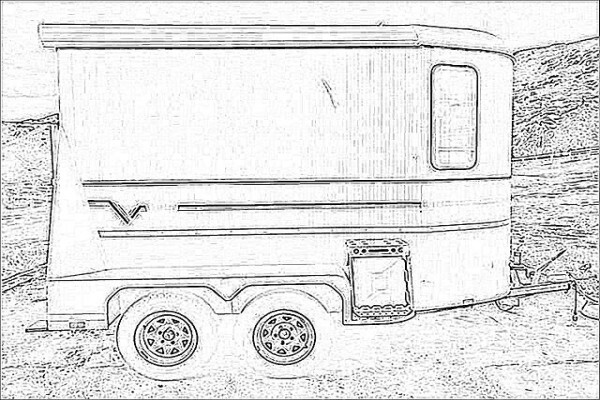 Horse Transport & Trucking