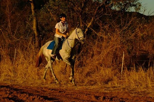 Horse Whispers