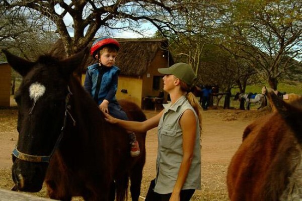 Horse Whispers