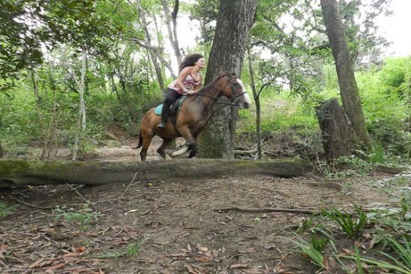 Horse Whispers