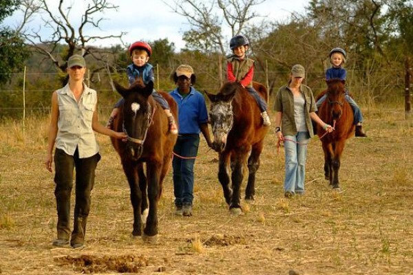 Horse Whispers