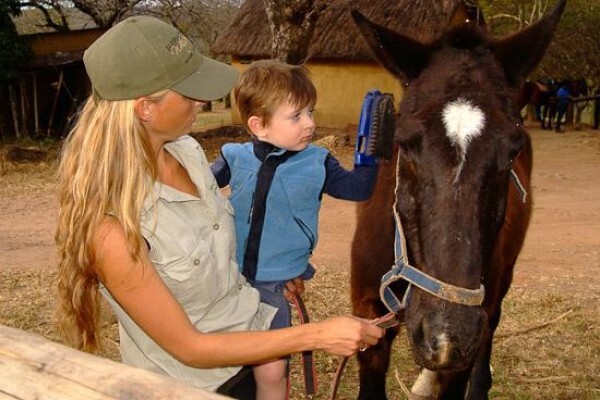 Horse Whispers