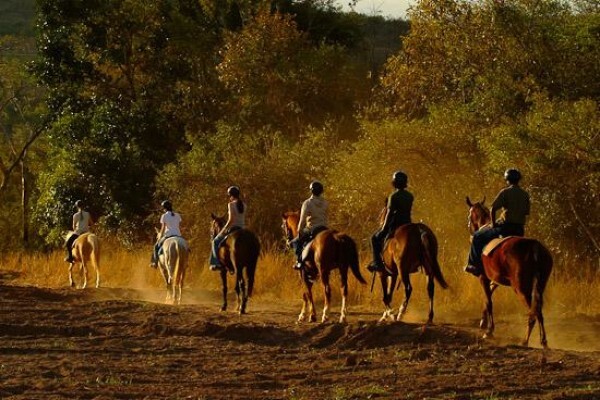 Horse Whispers