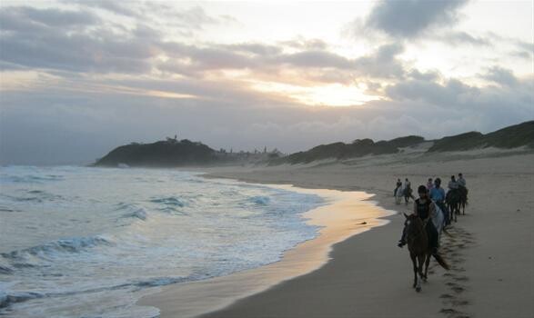 Horseback Beach Adventures