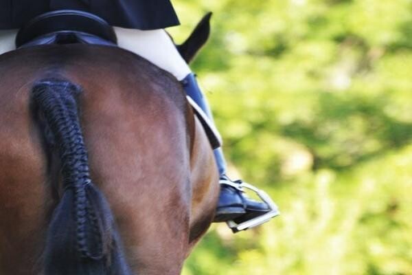 Equipage