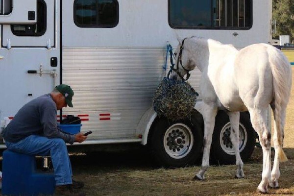 Shadowfax