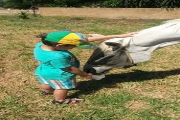 Silva Pegasus Stables