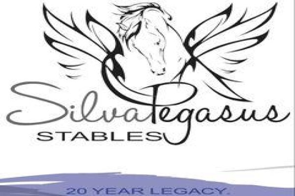 Silva Pegasus Stables