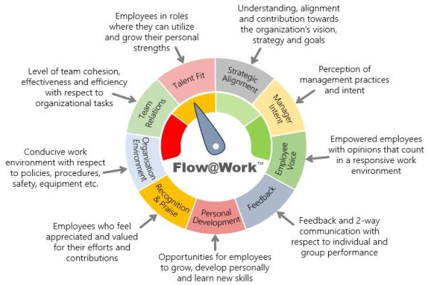 Mindset Management Programs