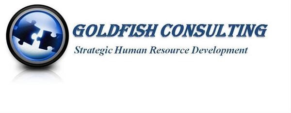 Goldfish Marketing T/A Goldfish Consulting