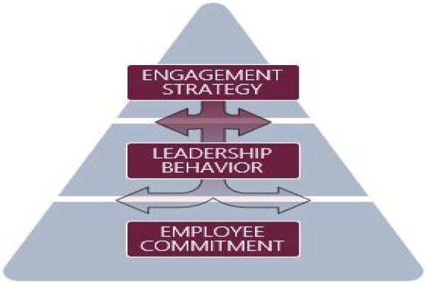 Mindset Management Programs