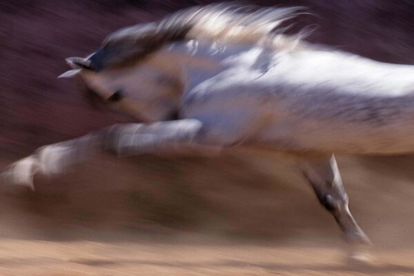 Quantum Flow Coaching
