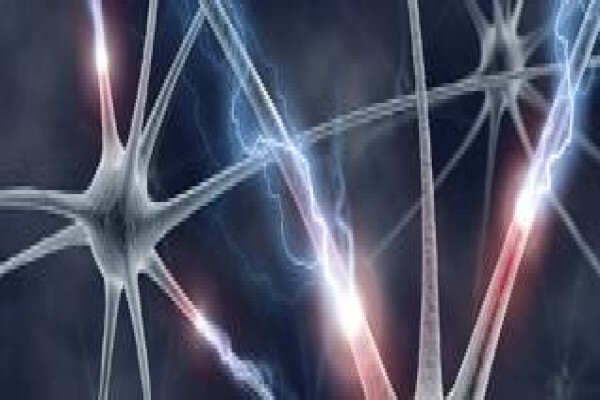 Quantum Nlp Coaching