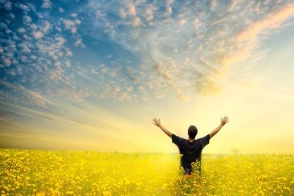 Quantum Nlp Coaching