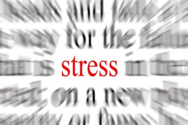 Quantum Nlp Coaching