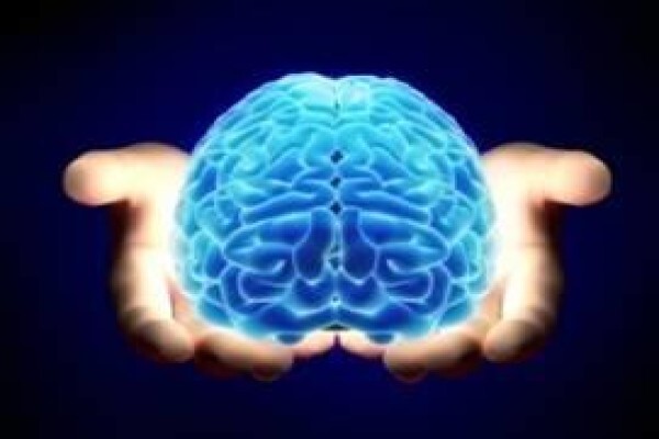 Quantum Nlp Coaching