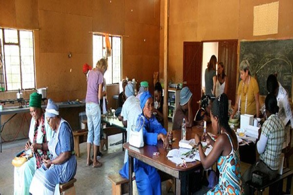 Impact Mentorship