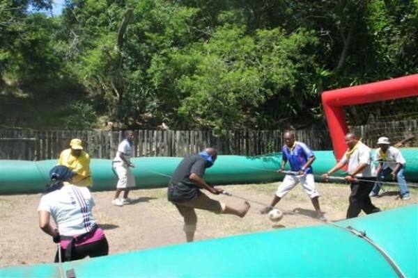 Impact Mentorship