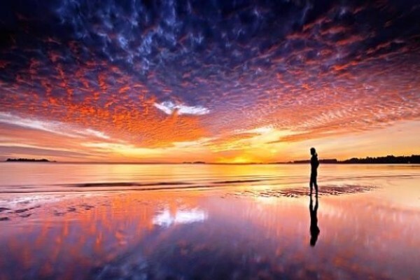 Metaphysical Life Coach