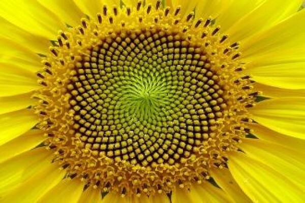 Metaphysical Life Coach