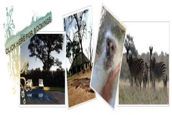 Thandeka Safaris