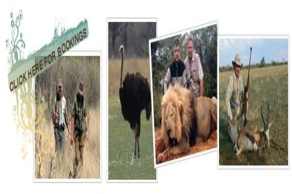 Thandeka Safaris
