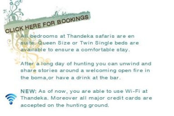 Thandeka Safaris