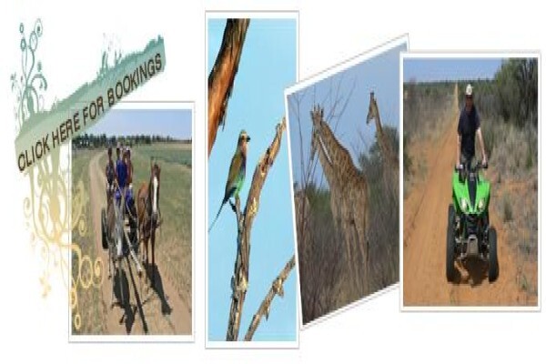 Thandeka Safaris