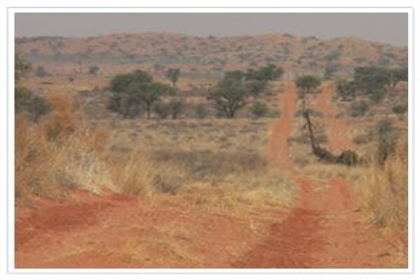 Thandeka Safaris