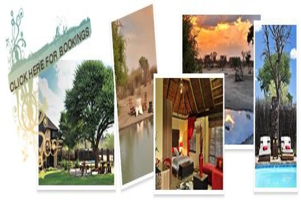 Thandeka Safaris
