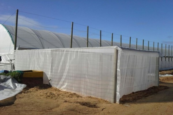 Haygrove South Africa