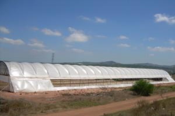 Haygrove South Africa